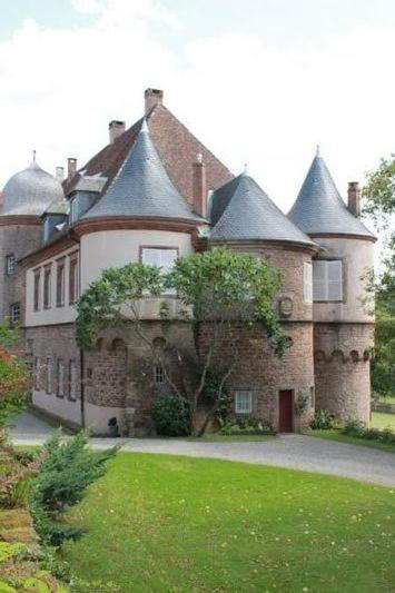 Gite Du Cerf Birkenwald Exterior foto