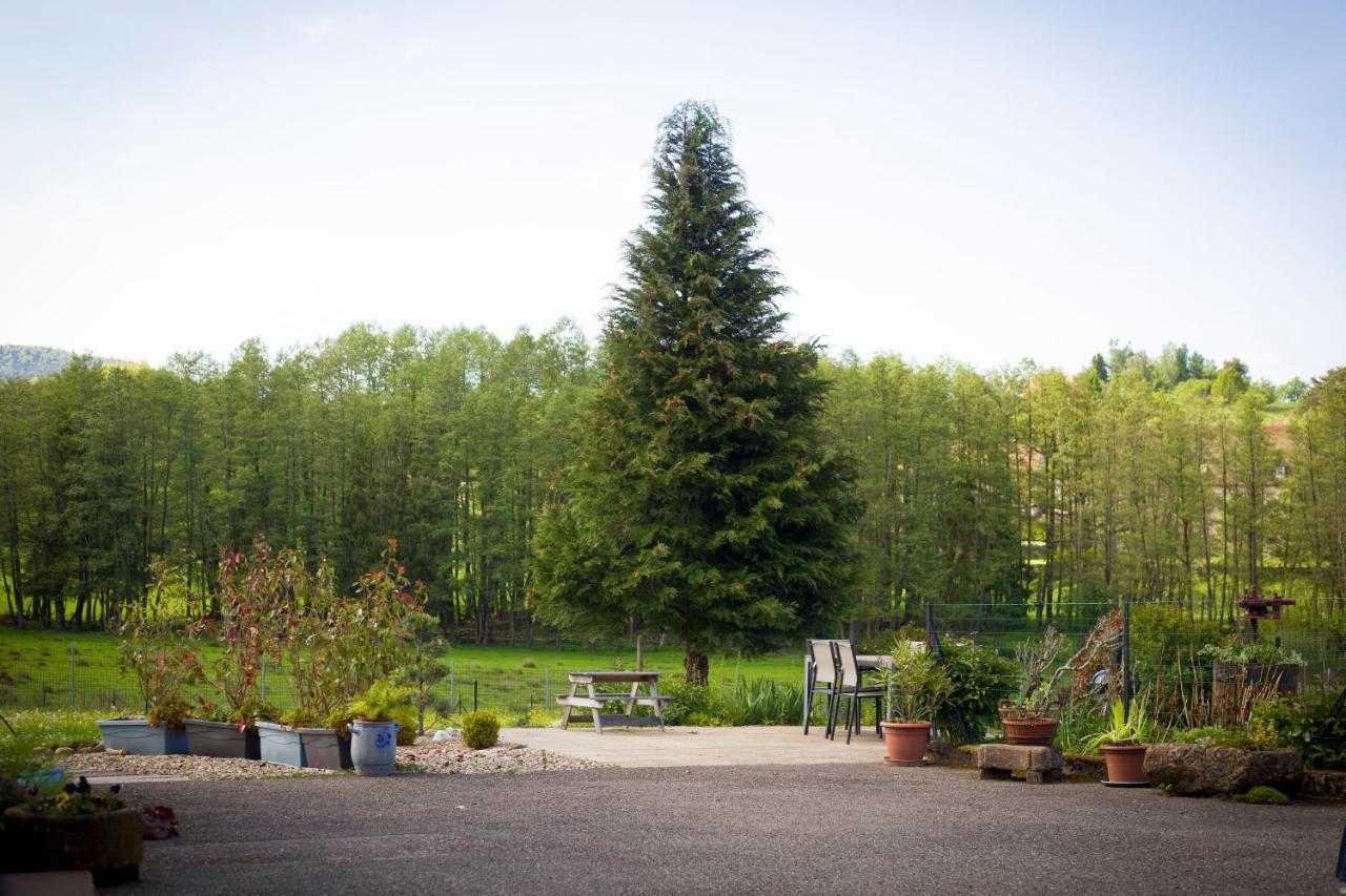 Gite Du Cerf Birkenwald Exterior foto